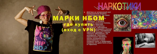 твердый Арсеньев