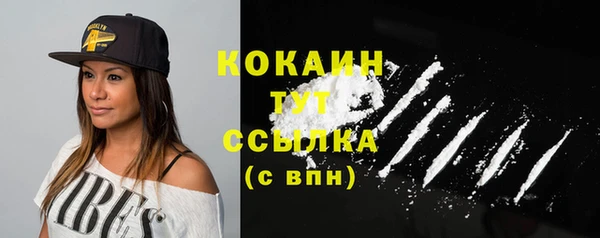 мет Новодвинск