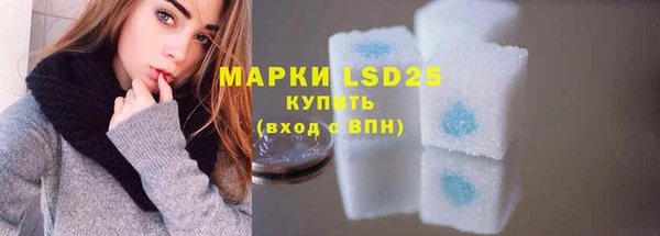 прущие грибы Аркадак