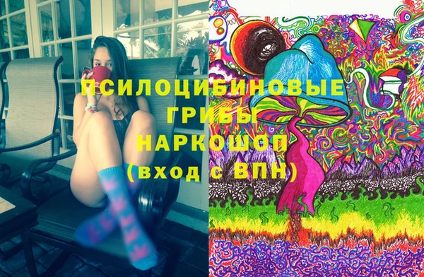 твердый Арсеньев