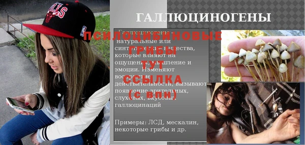 шишки Новокубанск