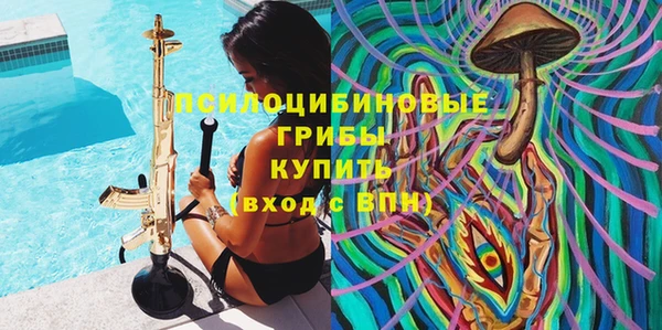 дмт Армянск