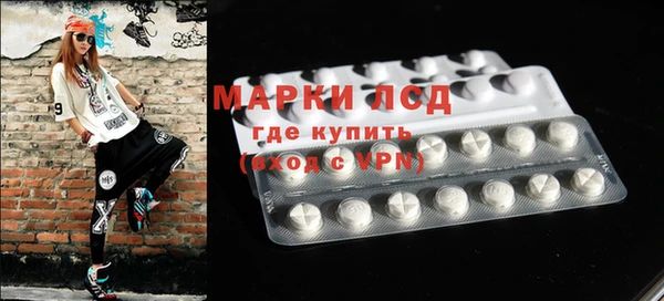 прущие грибы Аркадак