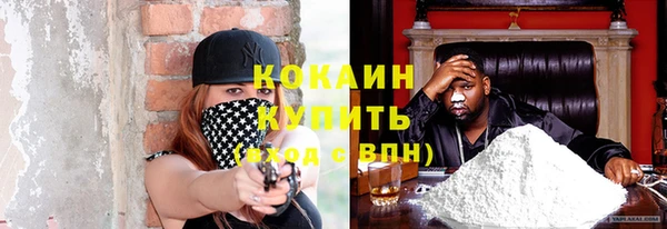 прущие грибы Аркадак